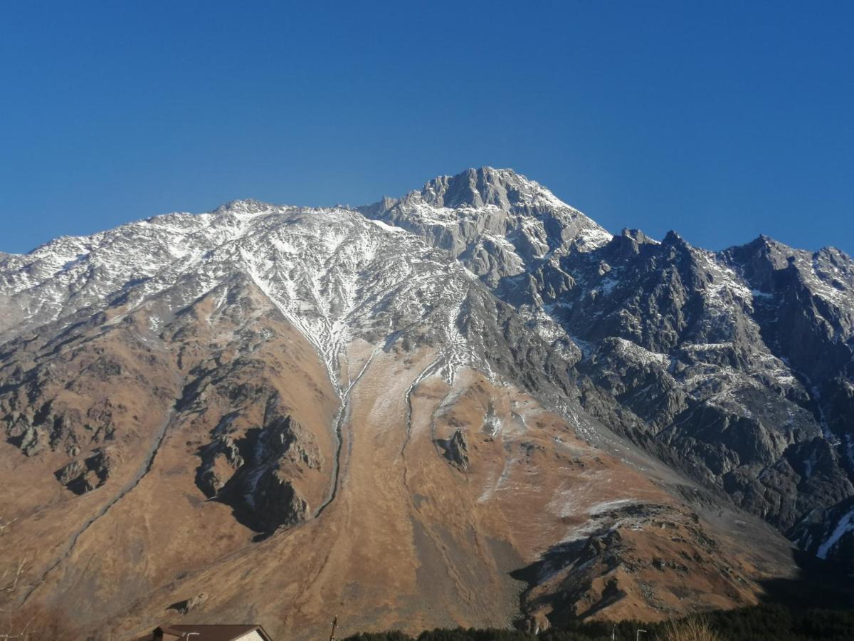 Шале Panorama *